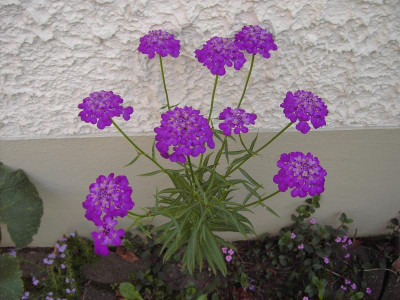 PICT9204.JPG