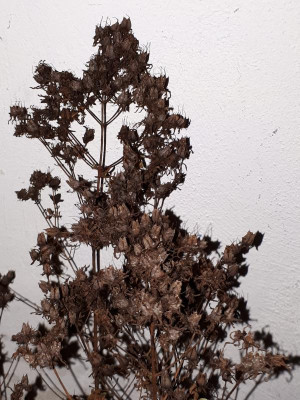 20181217_175234.jpg