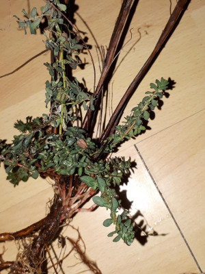 20181217_175311.jpg