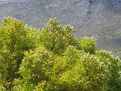 20181204_141637.jpg