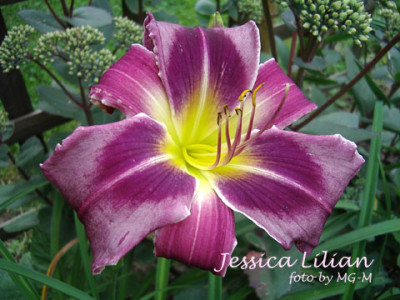 Imgp6567JesLil.jpg
