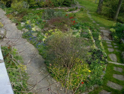 oberer Garten 250410.jpg