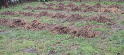 2_Plantage  Winter 12_2018.jpg