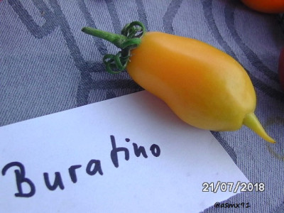 BILD0602.jpg