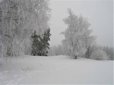 rauhreif0040.jpg