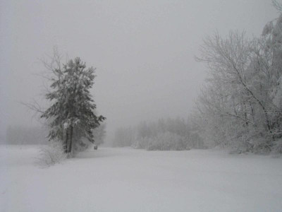 nebel001.jpg