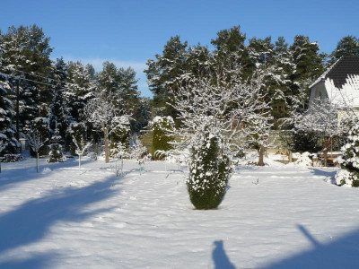 P1000128.JPG