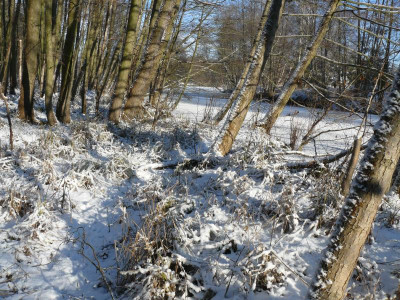 P1000233.JPG