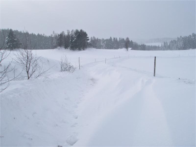 verweht.img.JPG