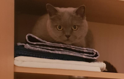 20181224_154912.jpg