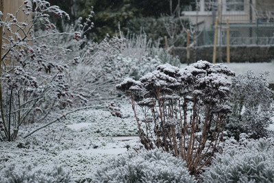 garten.jpg
