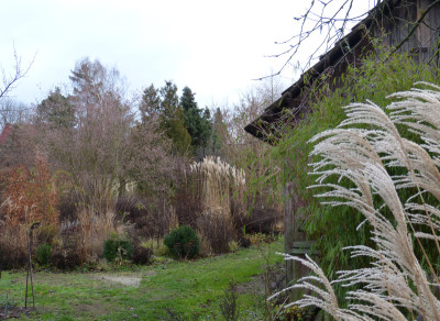 2018-12-25 Gartenimpressionen 3.jpg