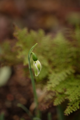 DSCF7260_3561.JPG