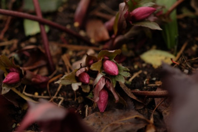 DSCF7254_3558.JPG