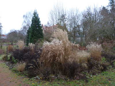 2018-12-27 Garteneinblick 2 Gräserbeet.jpg