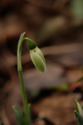 DSCF7275_3565.JPG