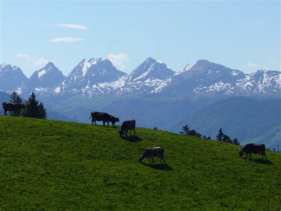13.05.2007.3.JPG