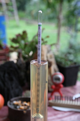 Quittensaft Spindel.jpg
