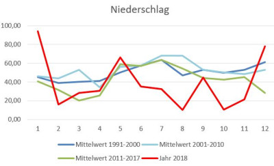 niederschlag6.JPG