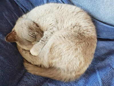 20190101_120450.jpg