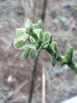20190101_124225.jpg