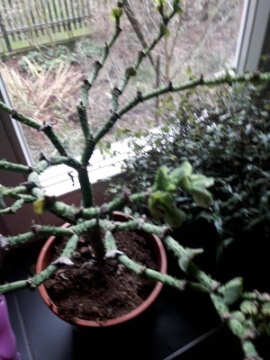 20190101_124207.jpg
