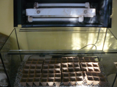 P1250556.JPG