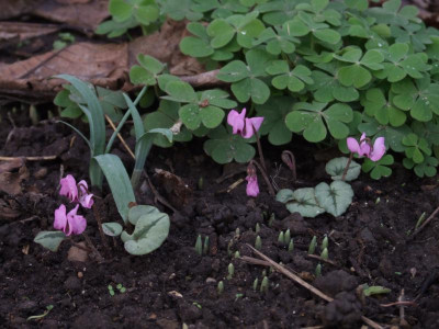 DSCF5809.JPG