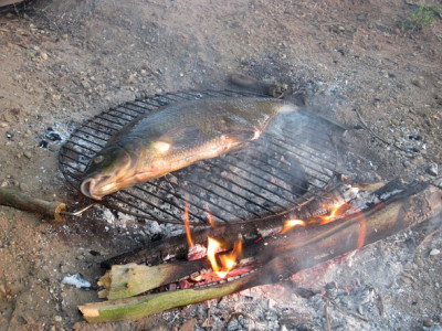 Brasse gegrillt.JPG