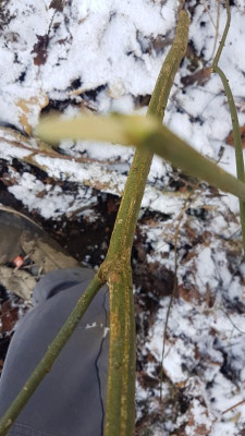 20190104_122738.jpg