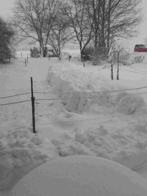 Winter 2019.jpg