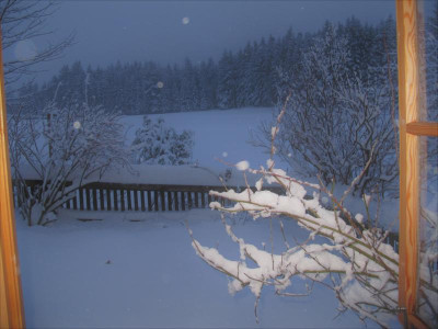 ausdemfenster3.img.JPG