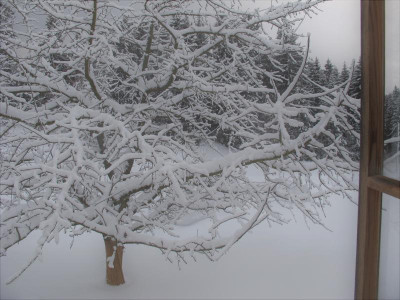 aus dem fenster.img.JPG