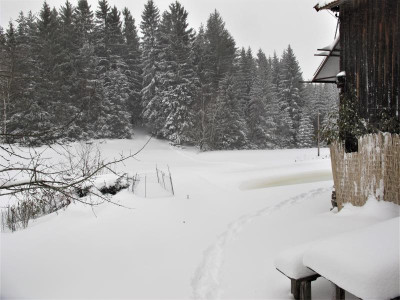 flammjanuar.img.JPG