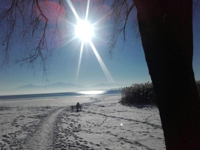 Winter am See.jpg