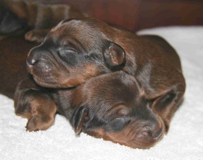 tweepups.jpg