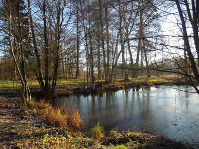 Frost_hat_aufgeräumt.jpg