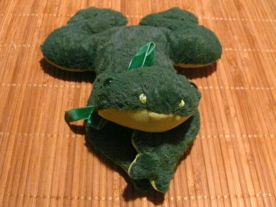 Frosch_034_2019-01-09.jpg
