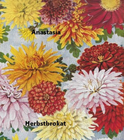 anastasia und herbstbrokat.png