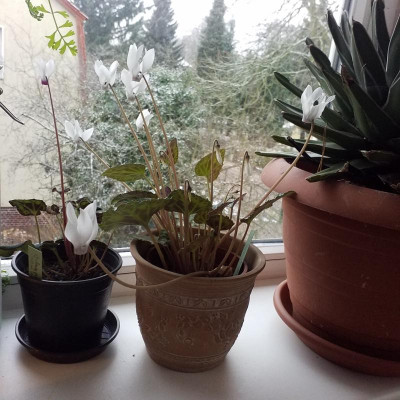 20190111_104117.jpg