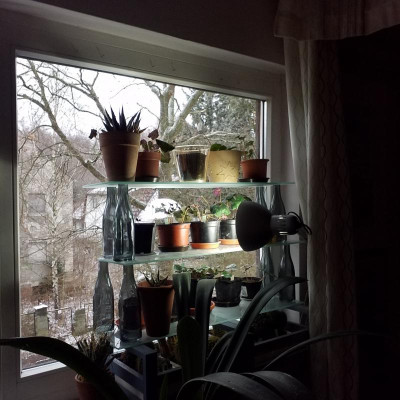 20190111_105759.jpg