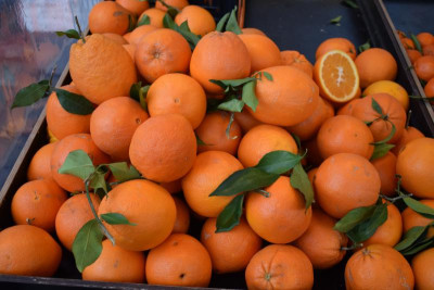 Januar 19 Citrus aus Sizilien 006.JPG