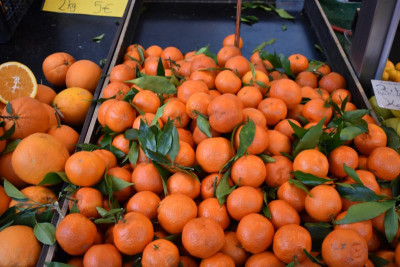 Januar 19 Citrus aus Sizilien 007.JPG