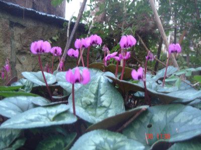 DSC05654.JPG