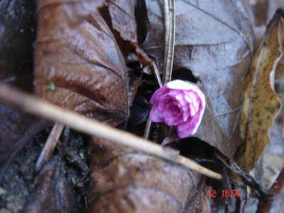 DSC05704.JPG