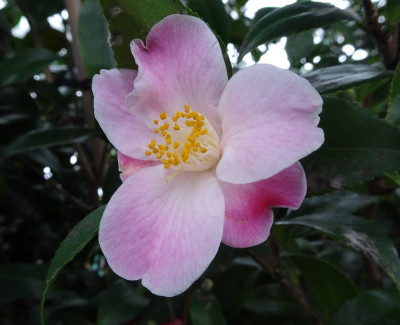 DSC06213.jpg