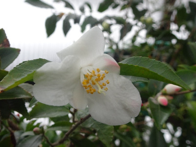 DSC06215.jpg