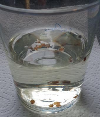 20190113_115515.jpg
