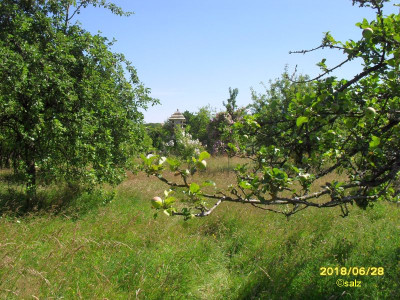 Sissinghurst 201804.jpg