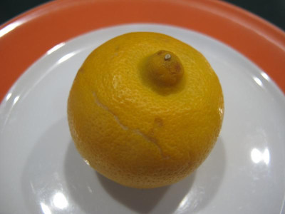 bergamotte.img.JPG